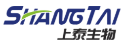 图片16